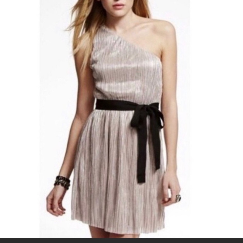 Express One Shoulder Dress
